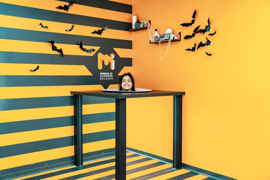 Orlando: Museum of Illusions Admission Ticket - Who Museum of Illusions Orlando Is Best For