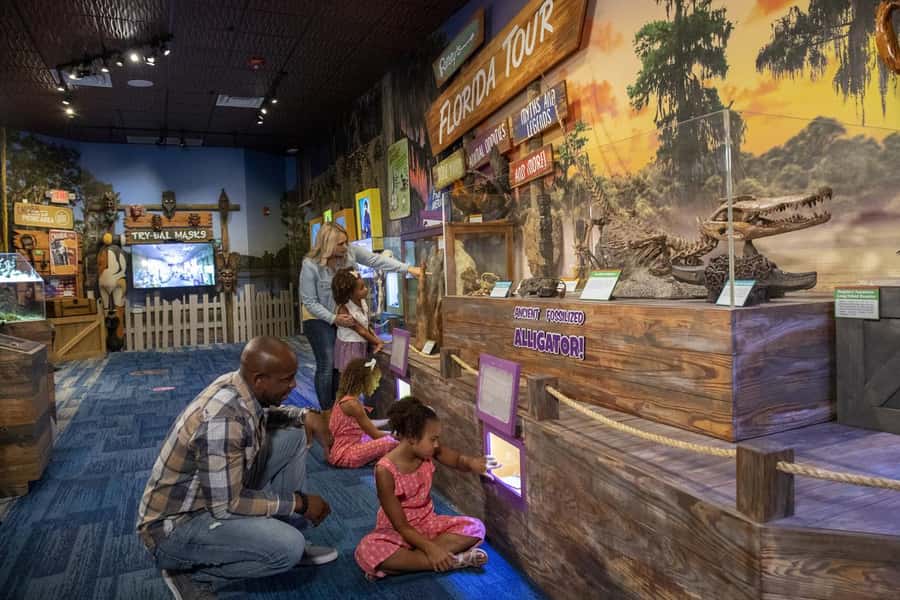 Orlando: Ripley's Believe It or Not! 2-Way Combo - Optional Fun: The Dance Party Moment