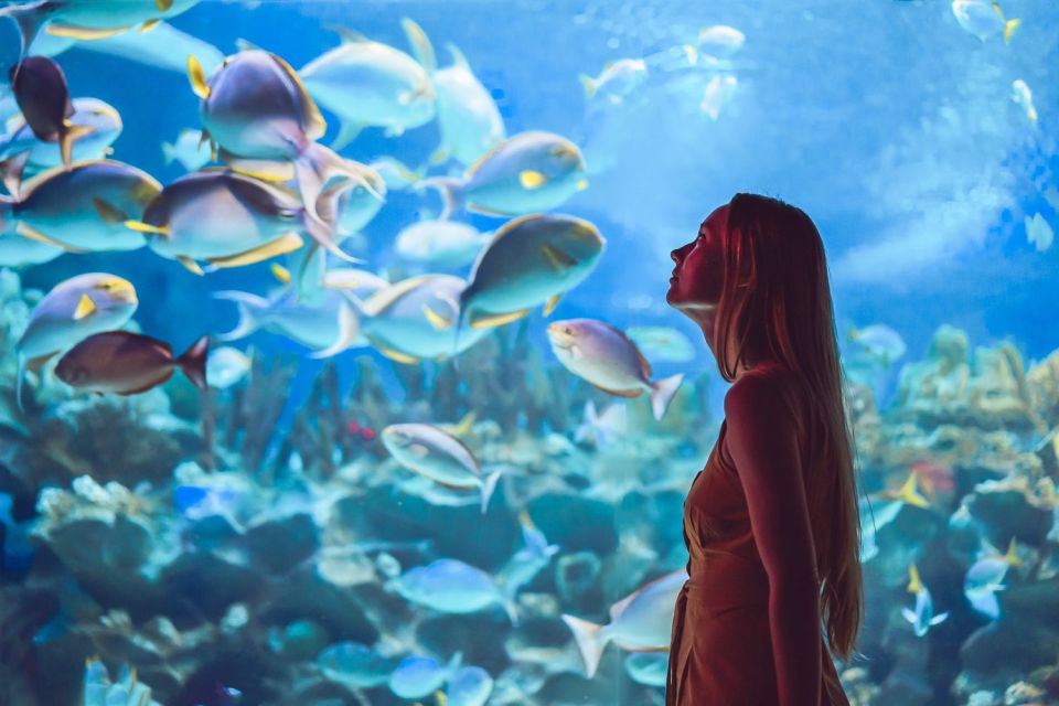 Orlando: SEA LIFE Orlando Aquarium - Key Highlights Worth Prioritizing