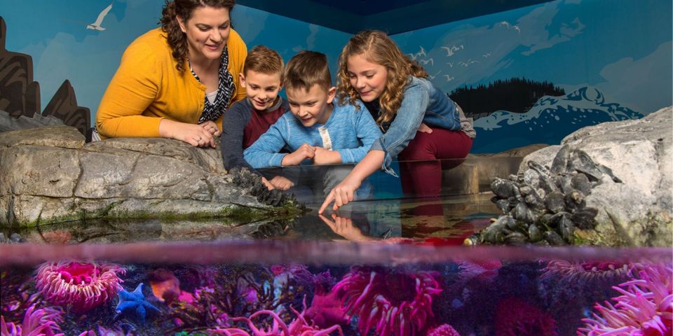 Orlando: SEA LIFE Orlando Aquarium - The Route Between Exhibits: How the Layout Helps Kids Stay Interested