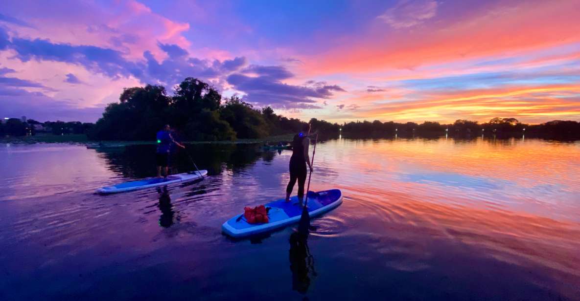 Orlando: Sunset Clear Kayak or Paddleboard in Paradise Tour - Once you’re on the water: calm paddling, skyline reflections, and wildlife spotting
