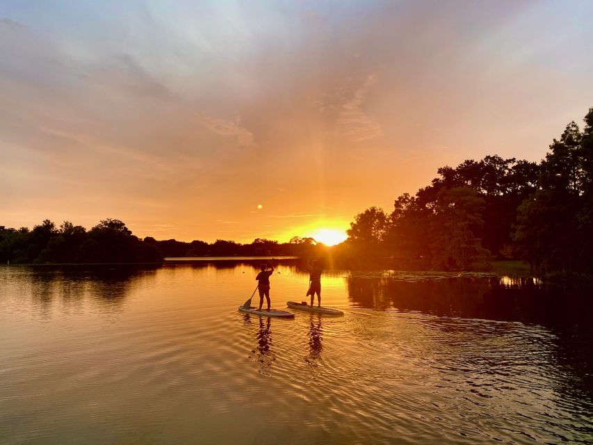 Orlando: Sunset Clear Kayak or Paddleboard in Paradise Tour - The photo link: included, but bring your own camera if you care