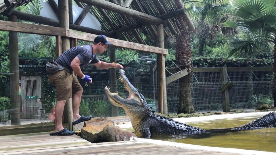 Orlando: Wild Florida Park Ticket and Gator Shows - Key takeaways before you go