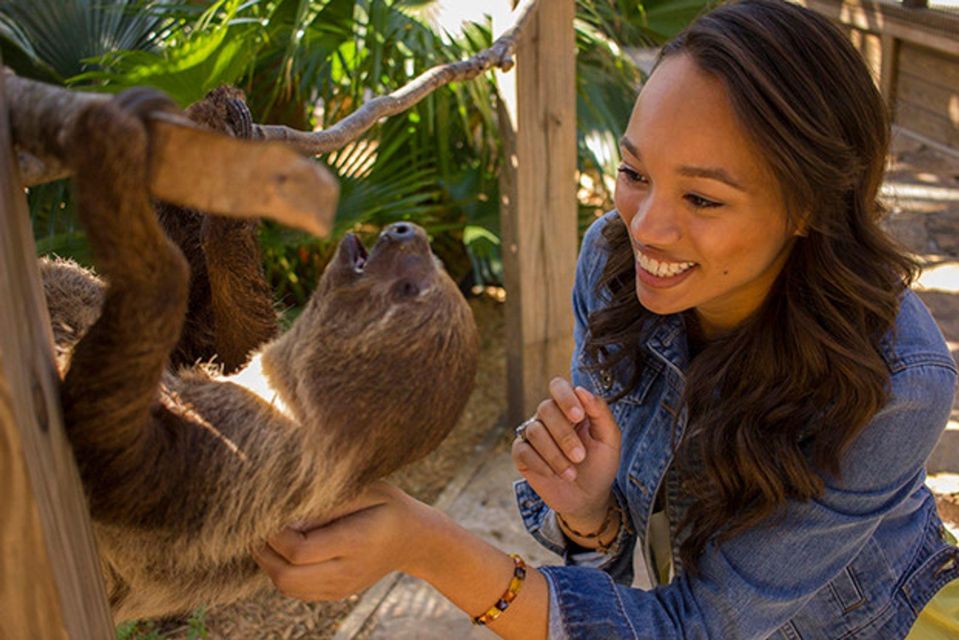 Orlando: Wild Florida Park Ticket and Gator Shows - Who this works best for (and when to skip)