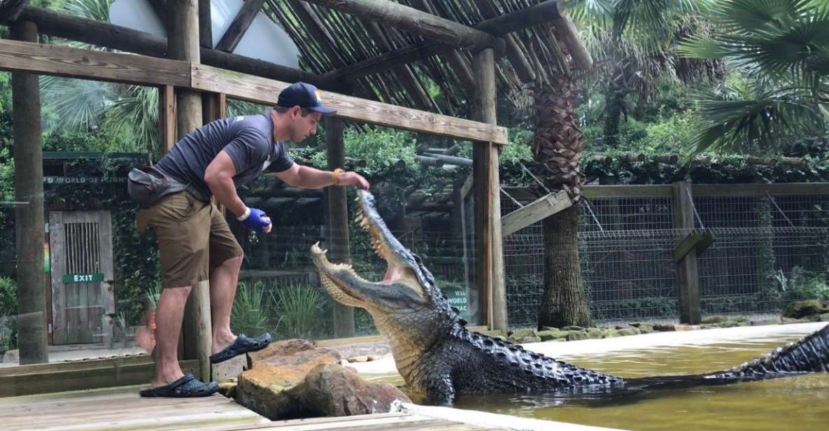 Orlando: Wild Florida Park Ticket and Gator Shows - Wild Florida’s vibe: a park you can actually do in one hour