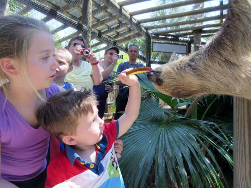 Orlando: Wild Florida Park Ticket and Gator Shows - Food and breaks: BBQ and small recovery time