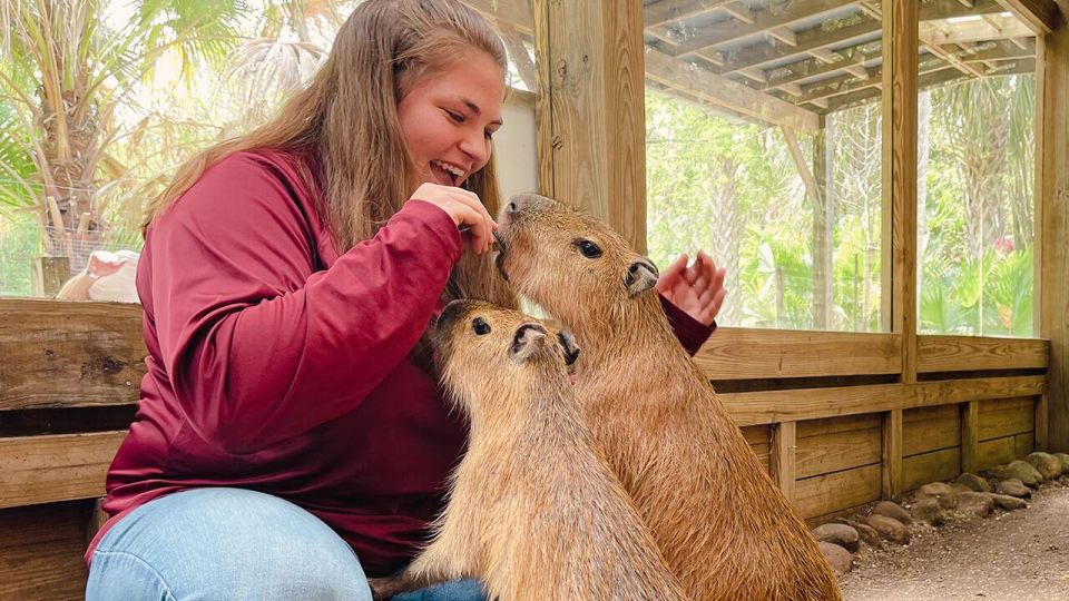 Orlando: Wild Florida Park Ticket and Gator Shows - Price and value: is $15 worth it near Orlando?