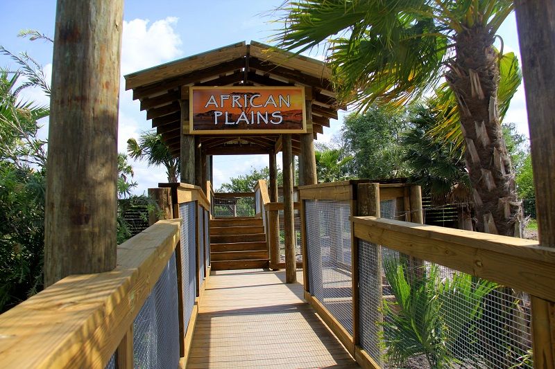 Orlando: Wild Florida Park Ticket and Gator Shows - The animal lineup: zebra, watusi, deer, buffalo, emu, and alligators