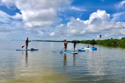 Paddle Board or Kayak Eco Dolphin Manatee Tour - Getting there by 9am: meeting point, timing, and what to bring