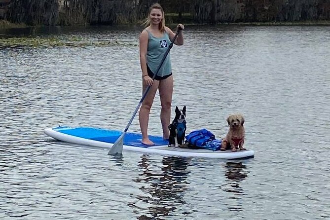 Paddle with Pups in Paradise - Paddleboard or Kayak - Getting Comfortable Fast: Stable Gear and Real Instruction