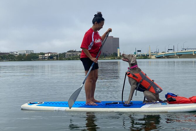 Paddle with Pups in Paradise - Paddleboard or Kayak - Pace, Weather, and What the Lake Feels Like