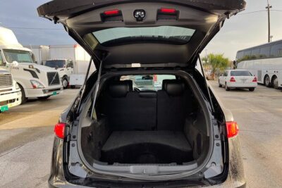 Port Canaveral to Orlando Airport MCO Luxury Sedan - What Happens Right After Your Cruise: Terminal Timing and Luggage Help