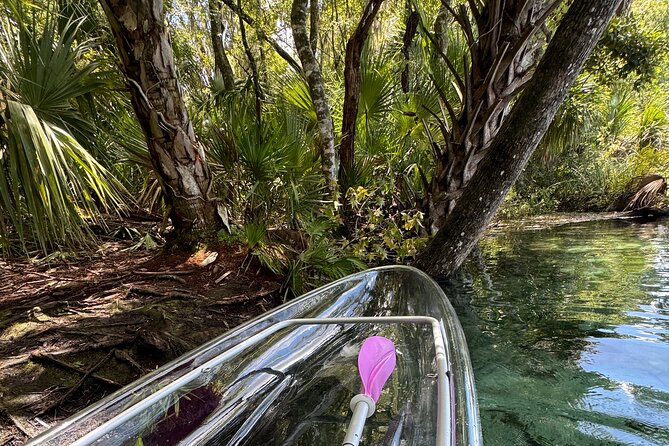 Private Crystal Clear 2 HR Kayak/Paddle Rental on Rainbow River - Crystal-clear water: why this rental is more than a boat trip