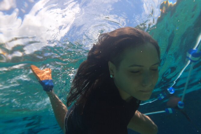 Private Crystal Clear 2 HR Kayak/Paddle Rental on Rainbow River - Choosing kayak vs ROC paddle board for the clearest views