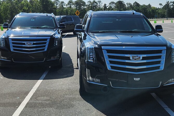 Private Oneway Pick Up from Port Canaveral to Orlando Int Airport - Value Check: Is $100 Per Person Worth It for This Cruise-to-Airport Transfer?