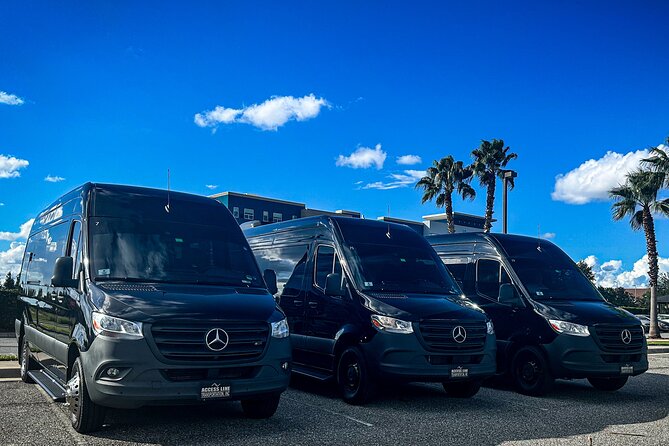 Private service, Airport, Hotels to Port Canaveral terminals. - Key Things I’d Bet On