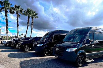Private service, Airport, Hotels to Port Canaveral terminals. - Meeting at MCO: Name Sign Pickup and Real-Time Driver Contact