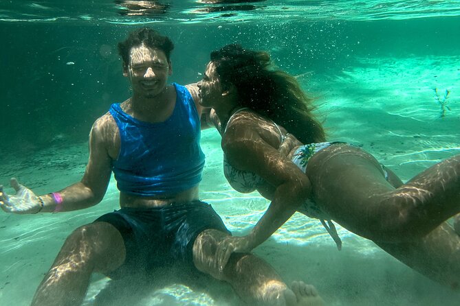Rainbow Springs Clear Kayak and Paddleboard Guided Tours - Key things that make this tour worth your time
