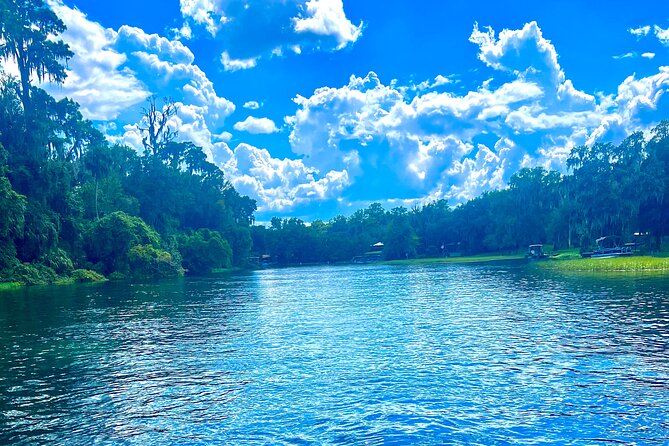 Rainbow Springs Clear Kayak and Paddleboard Guided Tours - Price and value: $70 plus the $10.75 park entry