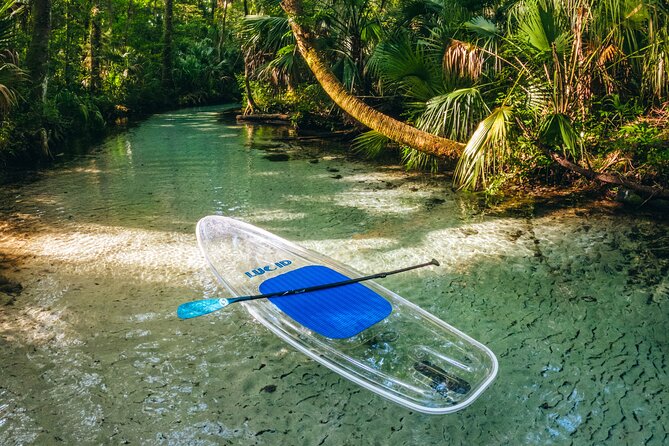 Rainbow Springs: Clear Kayak & Snorkel Eco Tour - KP Hole Park to Indian River Creek: starting where the river feels like a secret