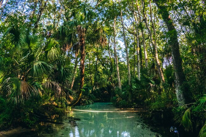Rainbow Springs: Clear Kayak & Snorkel Eco Tour - Rainbow Springs Headsprings and the return paddle: time, turns, and warm water surprises