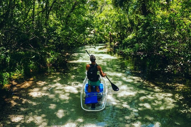 Rainbow Springs: Clear Kayak & Snorkel Eco Tour - Price and value: what makes this tour feel worth it