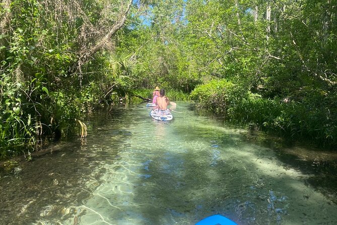 Rainbow Springs Electric Paddle Tour - Quick hits for your paddle plan