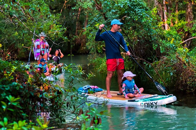 Rainbow Springs Paddle Board Tour - Premium boards and safety gear: what’s actually included
