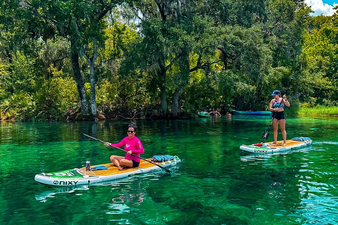 Rainbow Springs Paddle Board Tour - The 2.5-hour paddle: what you’ll likely do out on the water