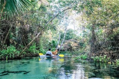 Rock Springs 2-Hour Glass Bottom Guided Kayak Eco Tour - Key Points Before You Go