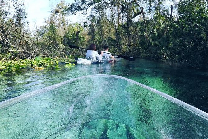 Rock Springs 2-Hour Glass Bottom Guided Kayak Eco Tour - The Platform Stop: Swim, Jump, and the Rope Swing Option