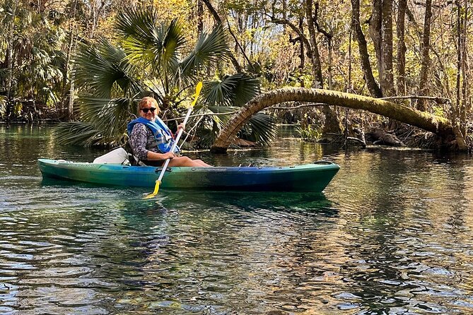 Sassy’s Silver Springs Kayak and Paddleboard Tours - Wildlife Spotting: Manatees, Alligators, Turtles, and Birds
