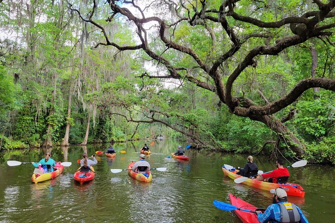 Scenic Half-Day Kayak or Paddleboard Rental – Dora Canal - Key highlights worth planning around