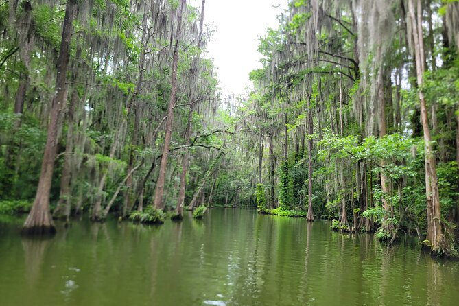 Scenic Half-Day Kayak or Paddleboard Rental – Dora Canal - Kayak vs Tandem vs Paddleboard: Pick the Right Level of Work
