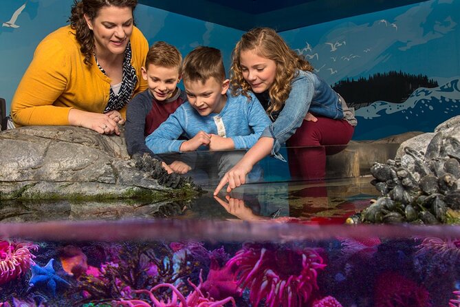 SEA LIFE Orlando Aquarium Admission Ticket at ICON Park - SEA LIFE Orlando at ICON Park: the setting and what it means for your day