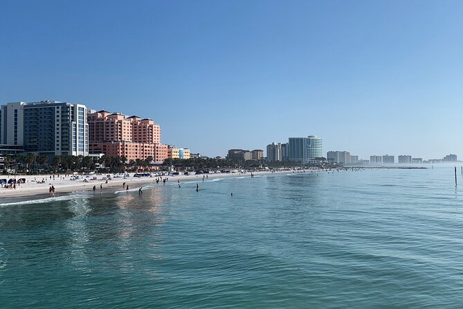 Sea Screamer Boat Cruise in Clearwater Beach with Transport - Sea Screamer speedboat: what 1 hour on the Gulf is really like