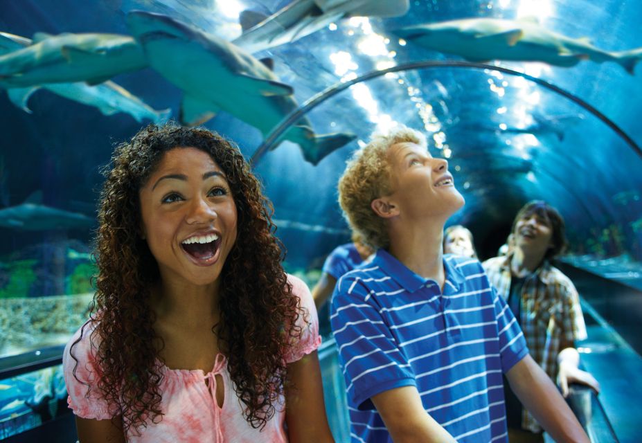 SeaWorld Orlando: Park Admission Ticket - Penguin Trek and Sesame Street Land for Families of Mixed Ages