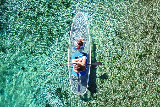 Silver Springs: Clear Kayak Wildlife Adventure - The Kayaks and Safety Rules That Actually Matter