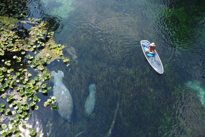 Silver Springs: Clear Kayak Wildlife Adventure - Guides Who Set the Tone: Aly, Josh, and Emma-Style Leadership