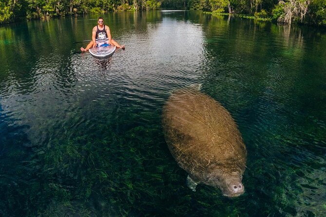 Silver Springs: Clear Kayak Wildlife Adventure - Practical Packing for a Clear Kayak Day (So You Don’t Fuss Later)