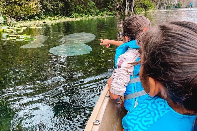 Silver Springs Glass Bottom Kayak Tour - Why the guide makes a difference (and who you might paddle with)