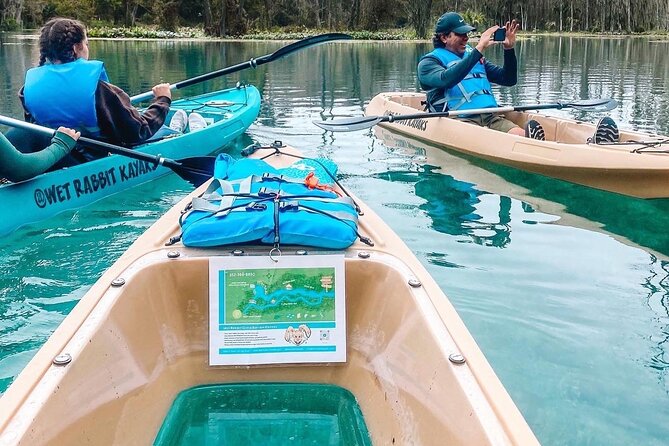 Silver Springs Glass Bottom Kayak Tour - The glass-bottom advantage: See wildlife from below without guesswork