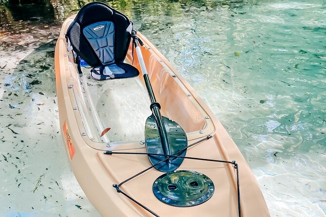Silver Springs Glass Bottom Kayak Tour - Wildlife and underwater sights: What you can expect to spot
