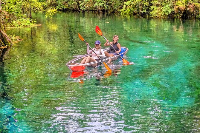 Silver Springs Jungle Kayaking and Paddleboarding - Meeting Point, Timing, and How 3 Hours Fits Real Life