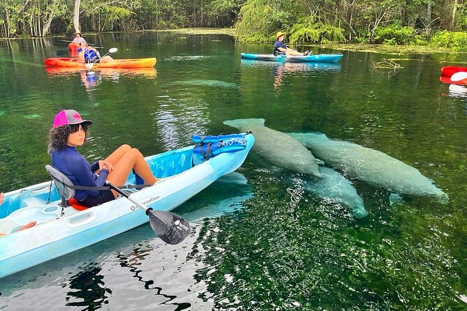 Silver Springs Kayak Rental - The Best Florida Adventure - Key highlights you’ll care about