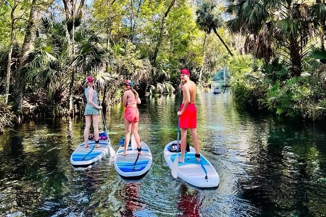 Silver Springs Kayak Rental - The Best Florida Adventure - Price and value: what you’re actually paying for