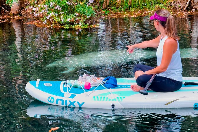 Silver Springs Manatee & Monkeys Paddle Board Tour - Headspring First: Why the Start Sets the Tone