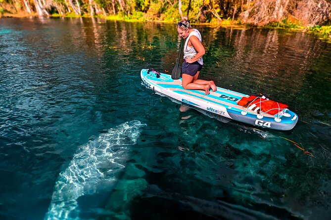 Silver Springs Manatee & Monkeys Paddle Board Tour - Gear, Safety, and What You Should Wear