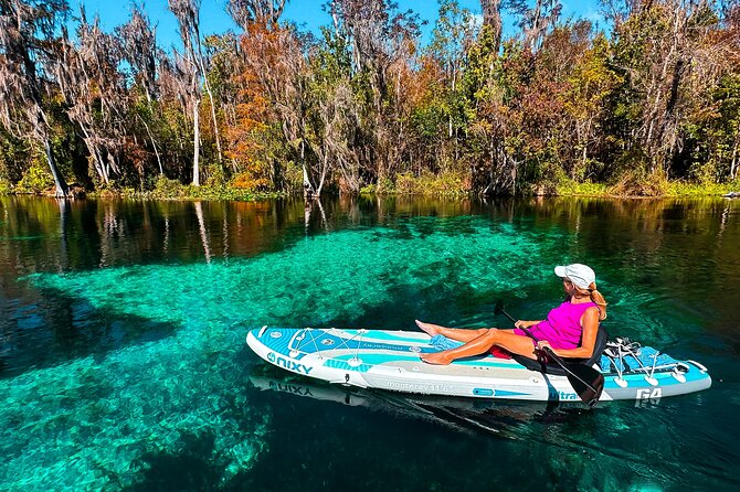 Silver Springs Manatee & Monkeys Paddle Board Tour - Photo and Video Without the Head-Down Struggle