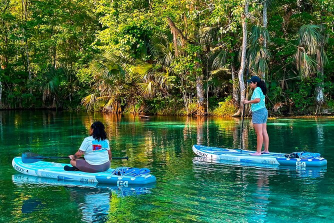 Silver Springs Manatee & Monkeys Paddle Board Tour - Price Breakdown: What $69 Really Costs You